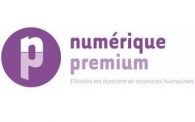 logo Numérique Premium